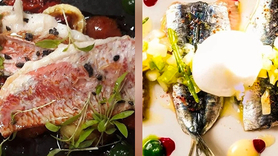 La Côte Vermeille à Port Vendres, restaurant de poissons : nouvelle carte de Printemps.